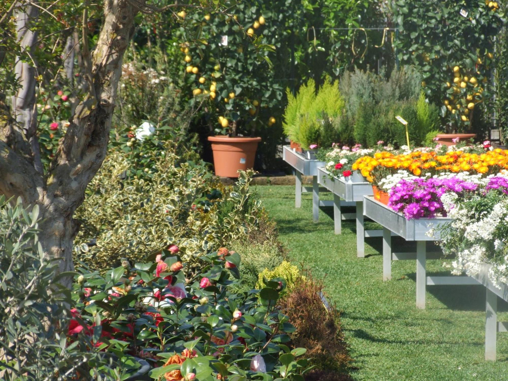Residenza I Ciclamini Bed & Breakfast Roma Exterior foto