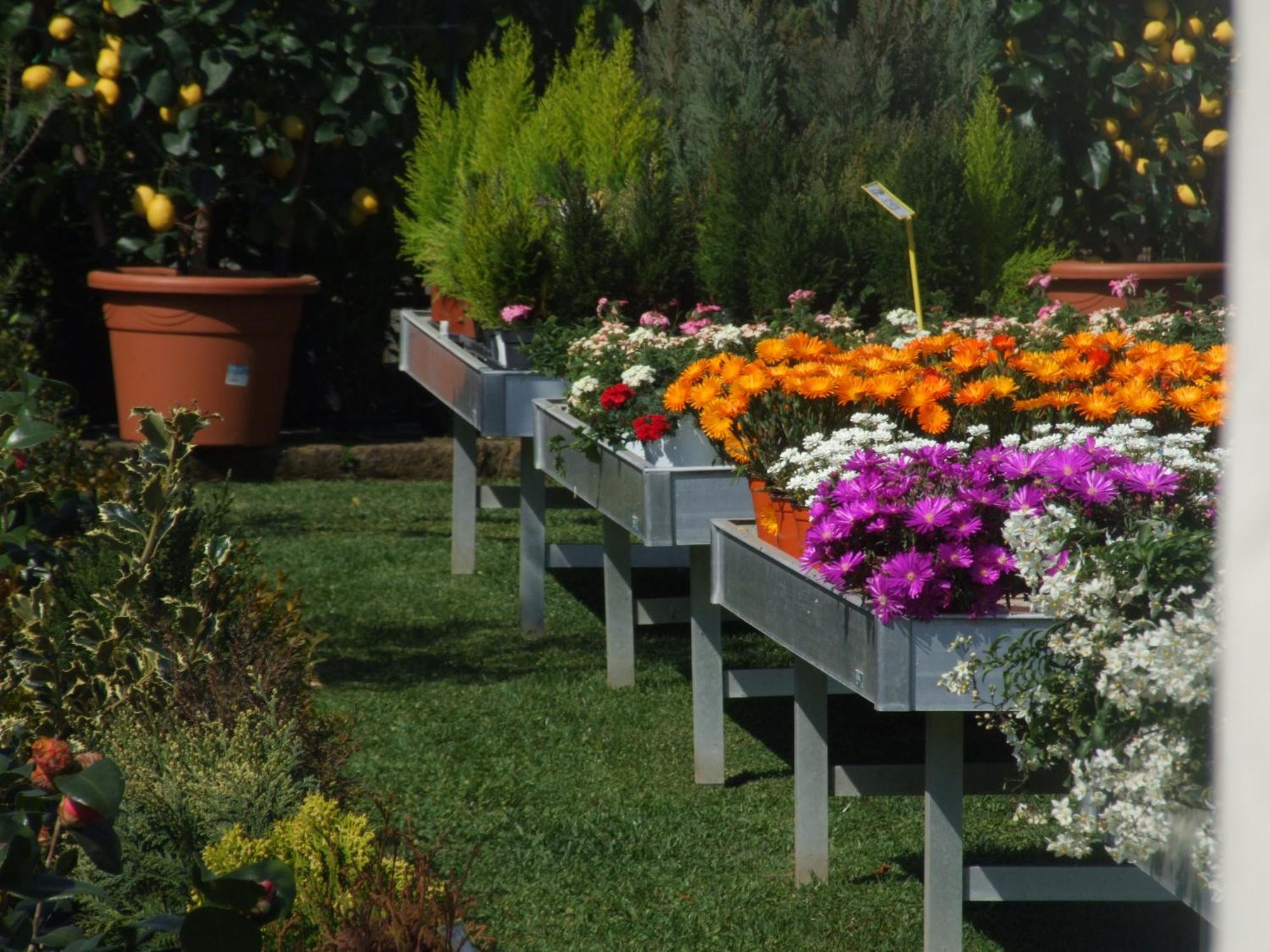 Residenza I Ciclamini Bed & Breakfast Roma Exterior foto