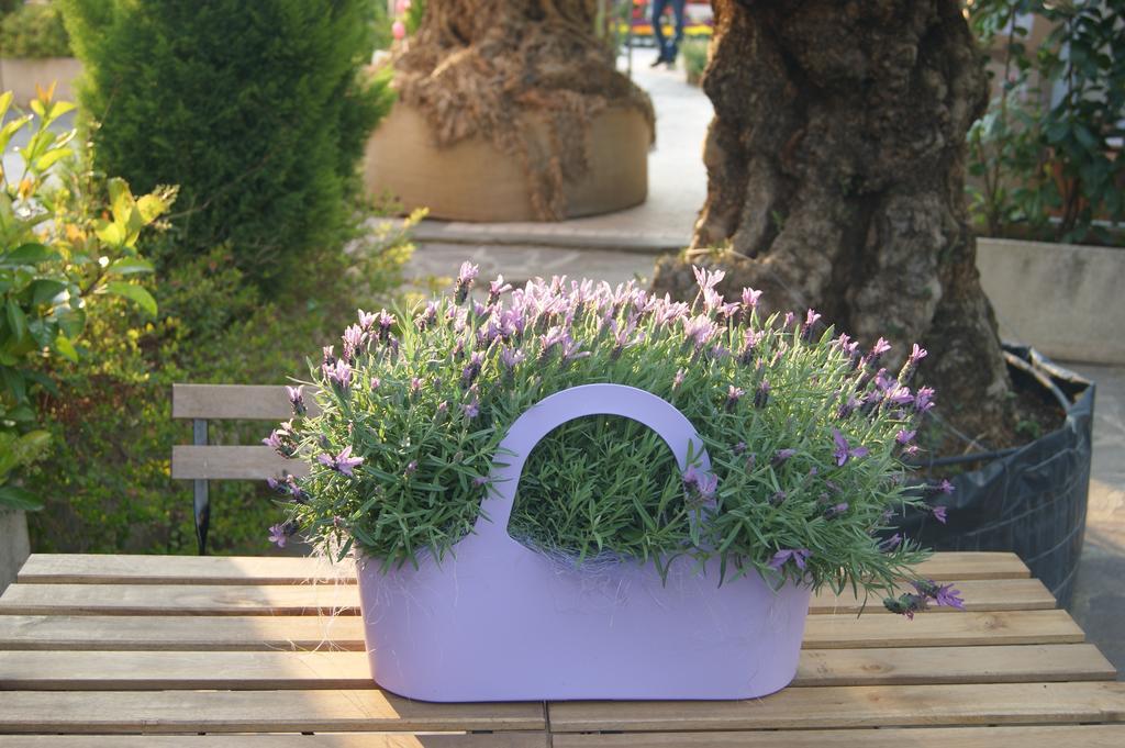 Residenza I Ciclamini Bed & Breakfast Roma Exterior foto