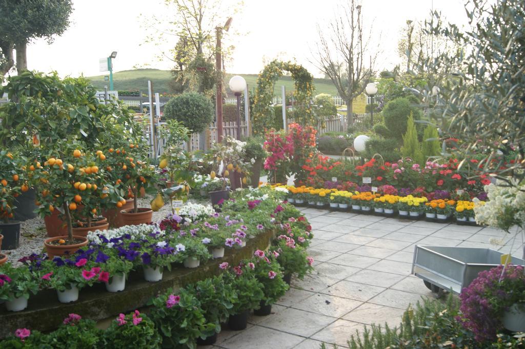 Residenza I Ciclamini Bed & Breakfast Roma Exterior foto
